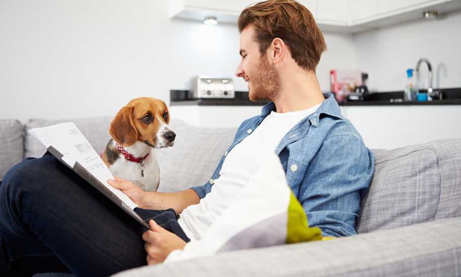 Spot Pet Insurance Review