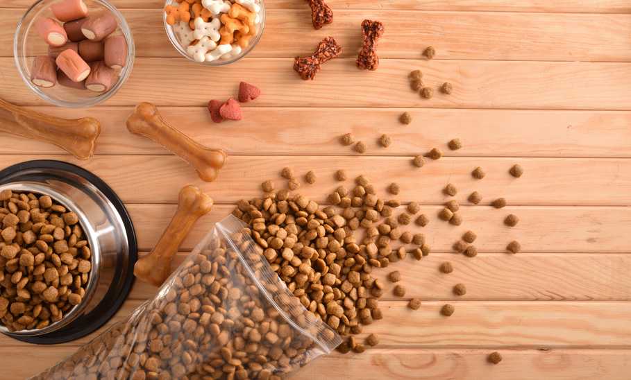 best Dry Dog Food