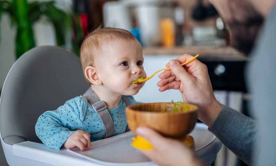 Best High Chairs