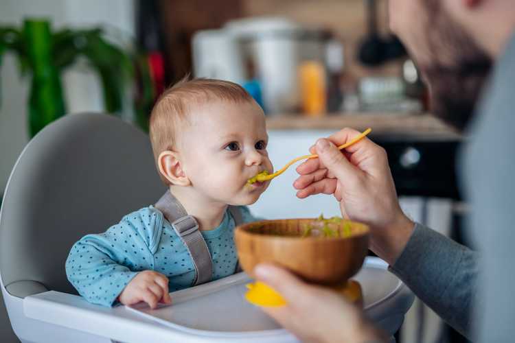 Best High Chairs